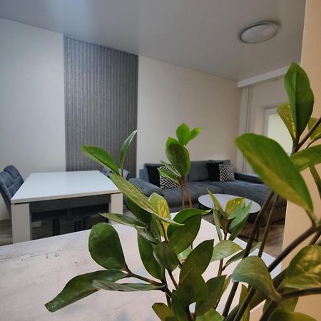 V15 Apartment Друскінінкай Екстер'єр фото