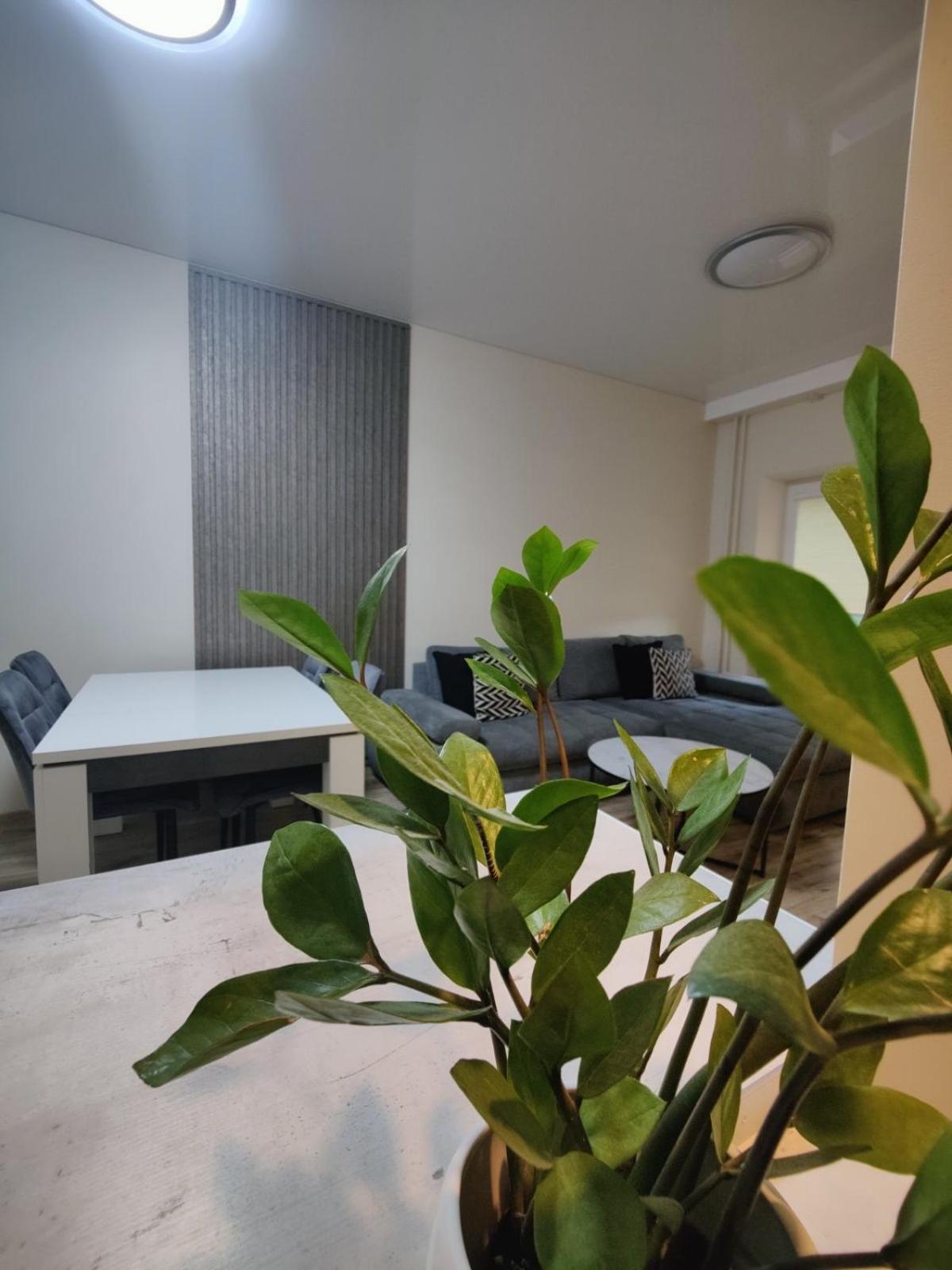 V15 Apartment Друскінінкай Екстер'єр фото